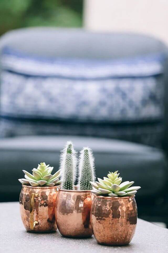 Copper Mug Succulent Arrangement: The Complete Guide